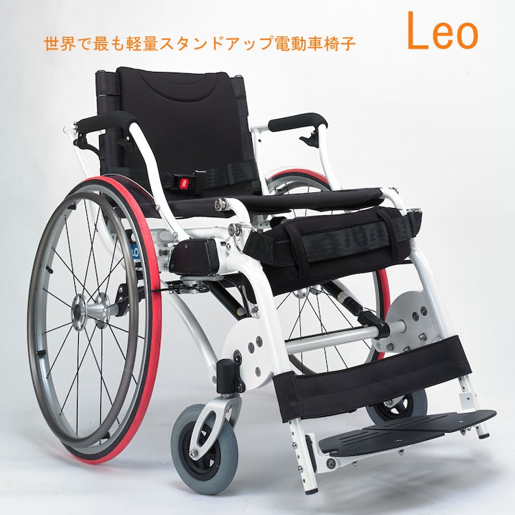 leo-info01.jpg