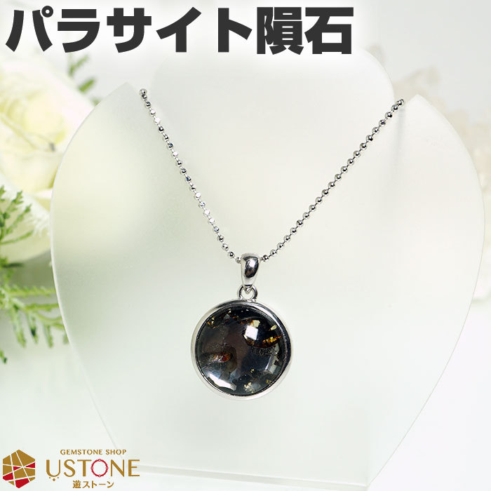 パラサイト 隕石 ペンダントトップ ケニア産 16mm 天然石