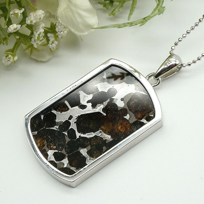 パラサイト 隕石 ペンダントトップ ケニア産 37x24mm 天然石