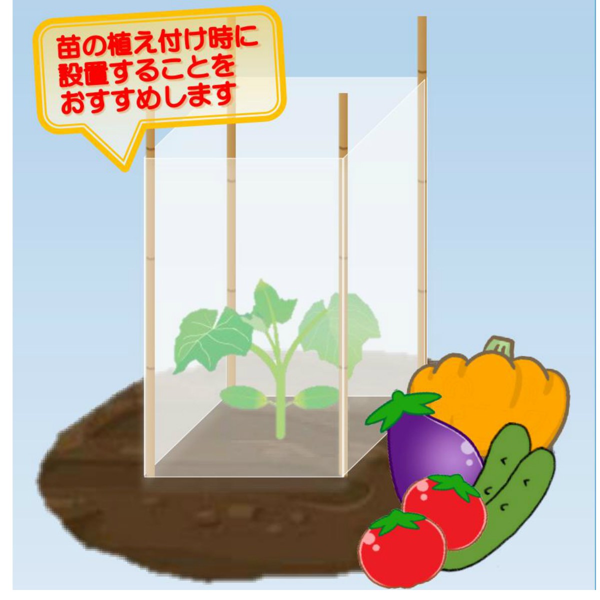 女竹 120cm 20本 篠竹 天然竹 竹支柱 添え木 園芸用 農業用 定植
