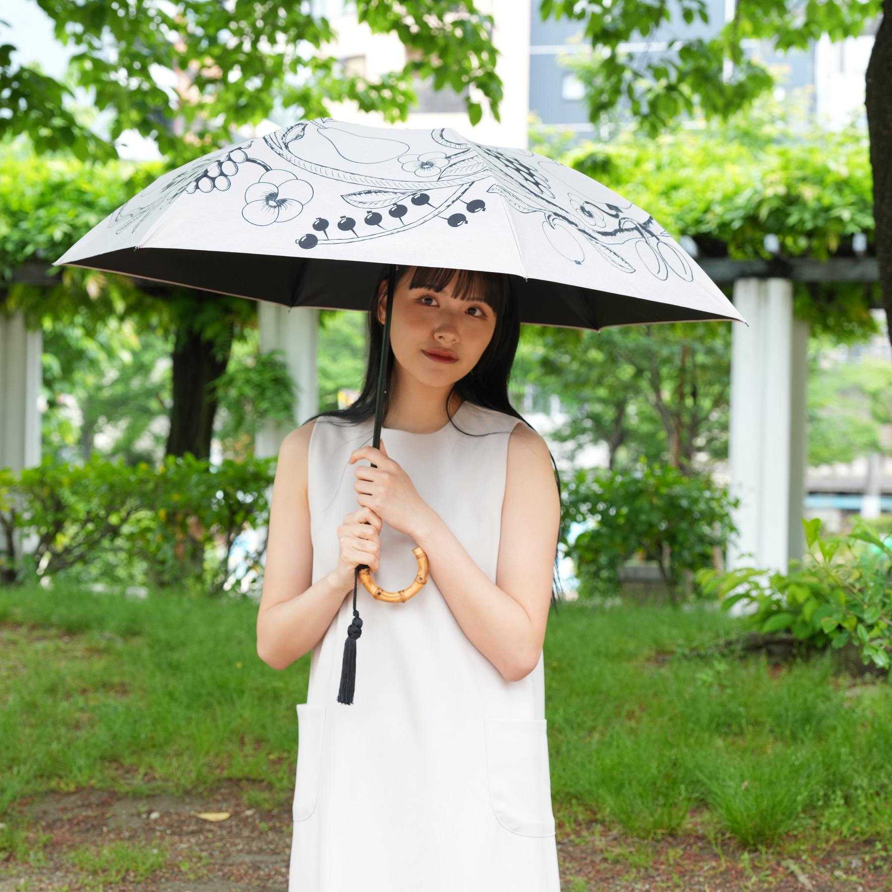 かさ
