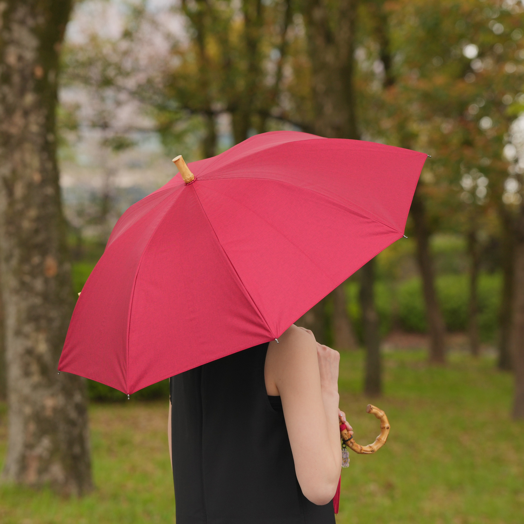 かさ