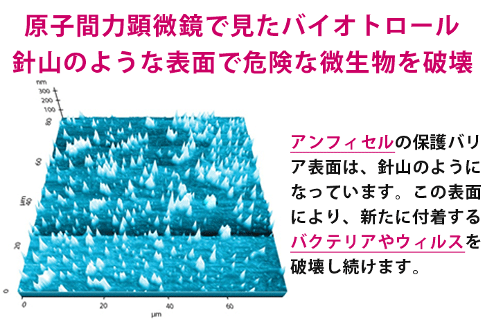 除菌スプレー ノロノット 除菌 抗菌 D速攻 汎用タイプ 500ml スプレー