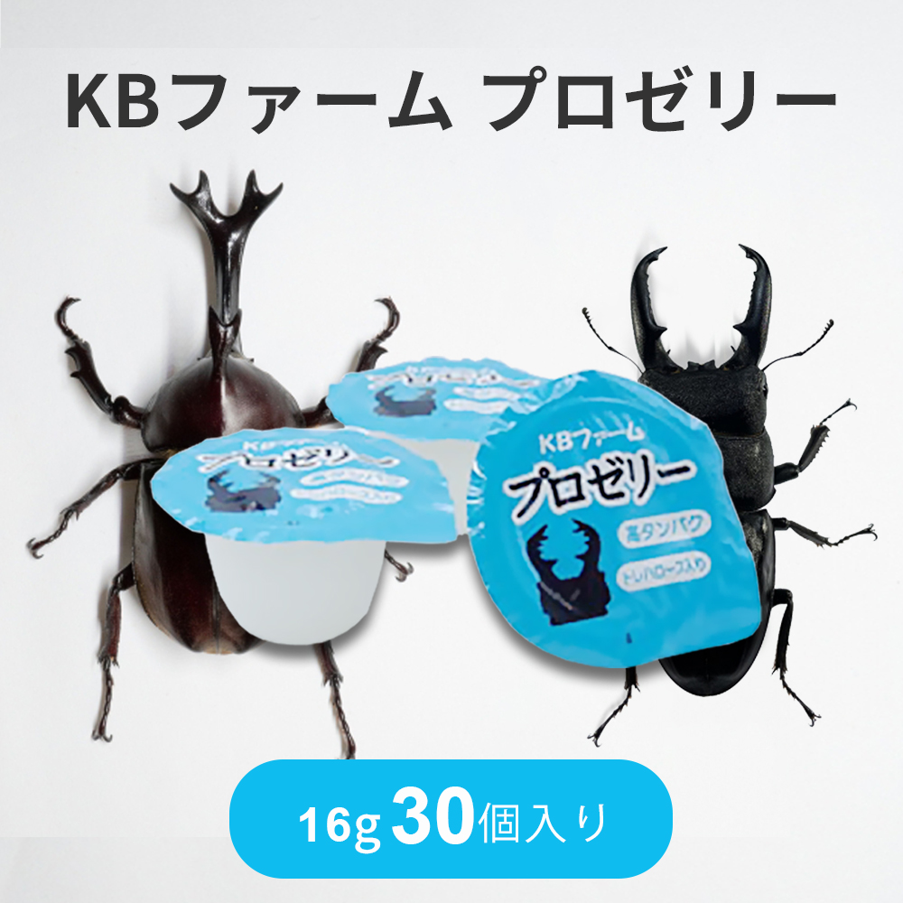 【送料無料】 KBファーム プロゼリー 16ｇ1000個 純国産 昆虫ゼリー Amazon | KBファーム 昆虫ゼリー プロゼリー(16g 200個入り) | KB