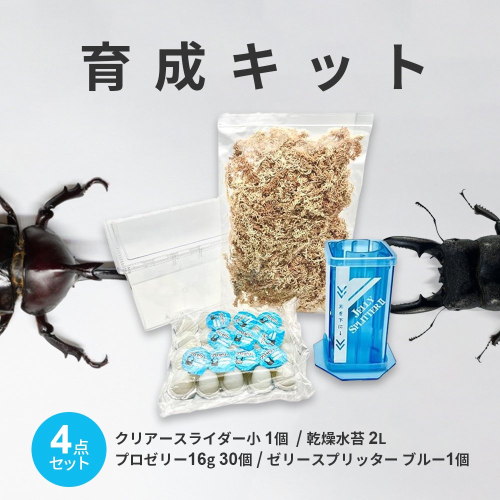 カブトムシ／クワガタ育成キット 4点セット クリアケース 乾燥水