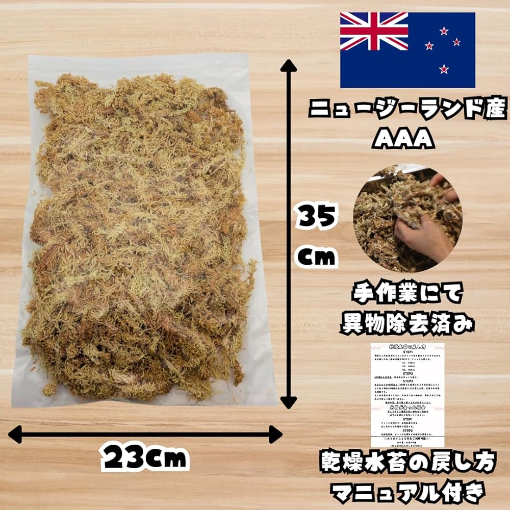 カブトムシ／クワガタ育成キット 4点セット クリアケース 乾燥水
