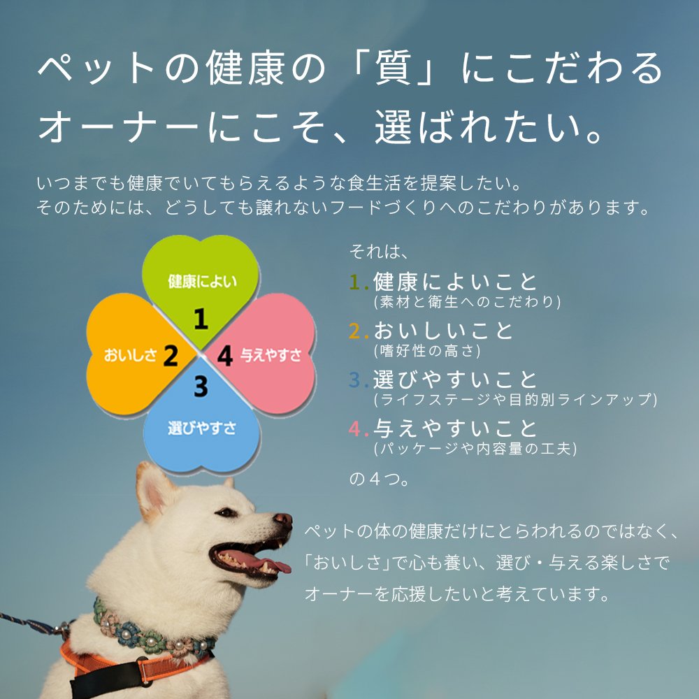 デビフペット デビフ 缶詰 犬用栄養補完食 150g 8種 ×各2個 詰め合わせ