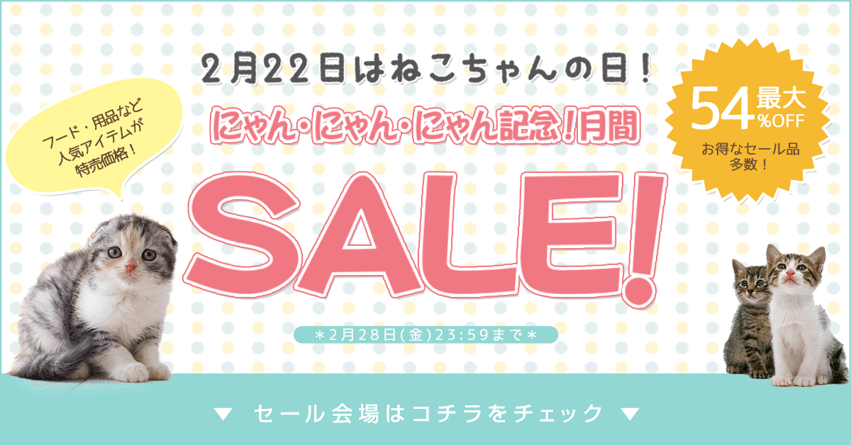 にゃんにゃんにゃん月間!記念セール!