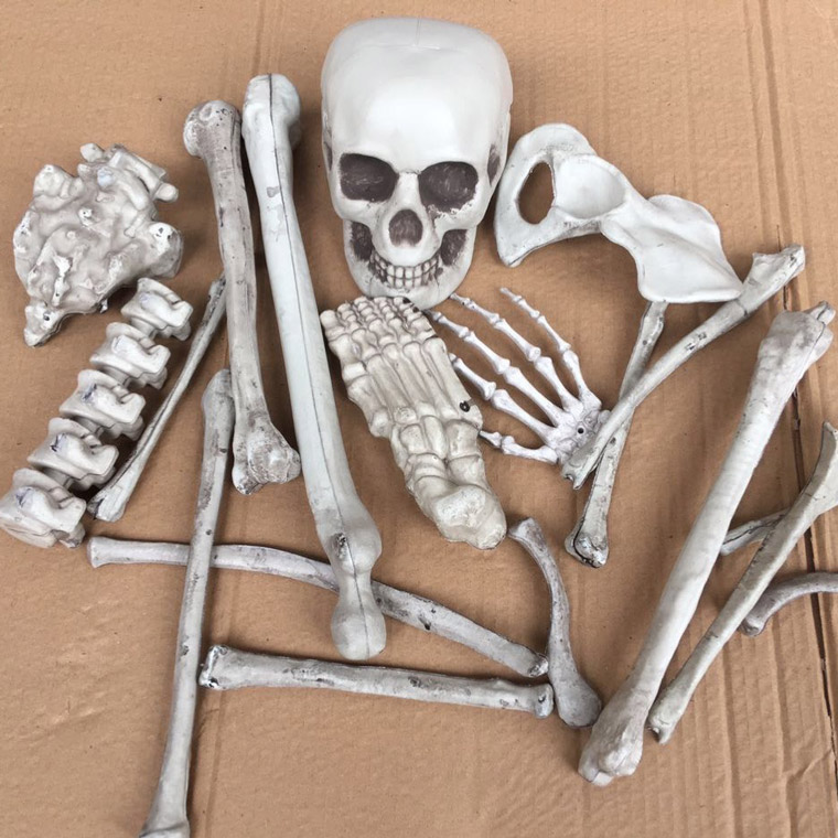 骸骨 28個セット スカル ドクロ ガイコツ ハロウィン 飾り 髑髏 置物