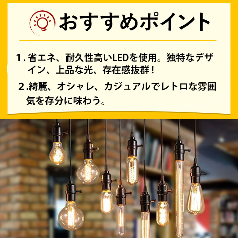 DENKO HOME（電光ホーム） エジソン電球 T45 エジソンバルブ