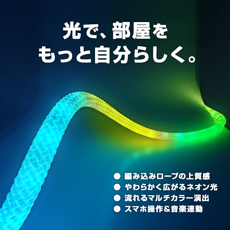 DENKO HOME（電光ホーム） LEDネオンロープライト 5m 編み込みロープ
