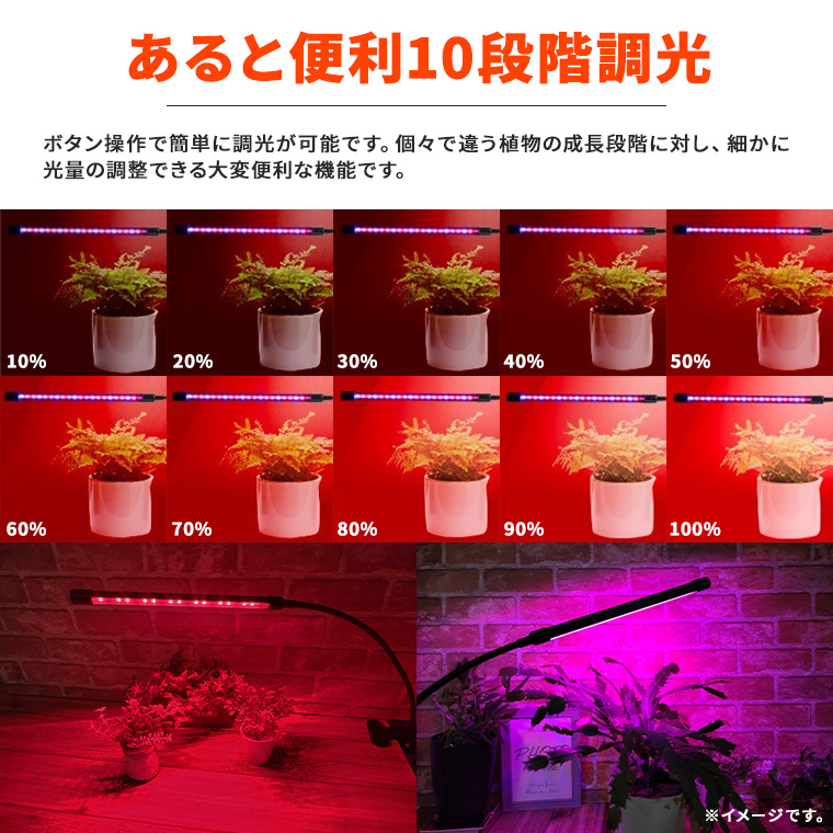 植物育成ライトLED 育成ライト 観葉植物 多肉植物 10段階 調光 ライト