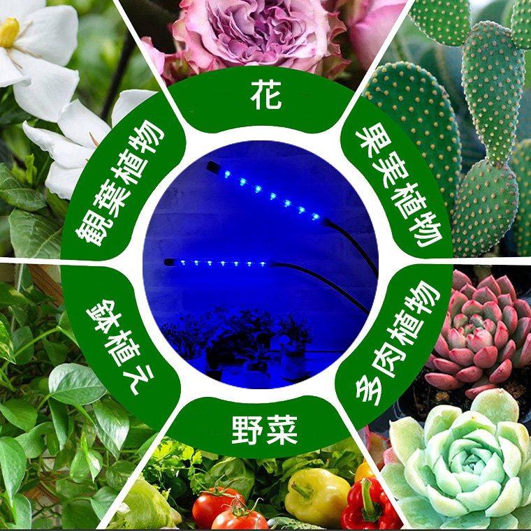 植物育成ライトLED 育成ライト 観葉植物 多肉植物 ライト 2灯 10
