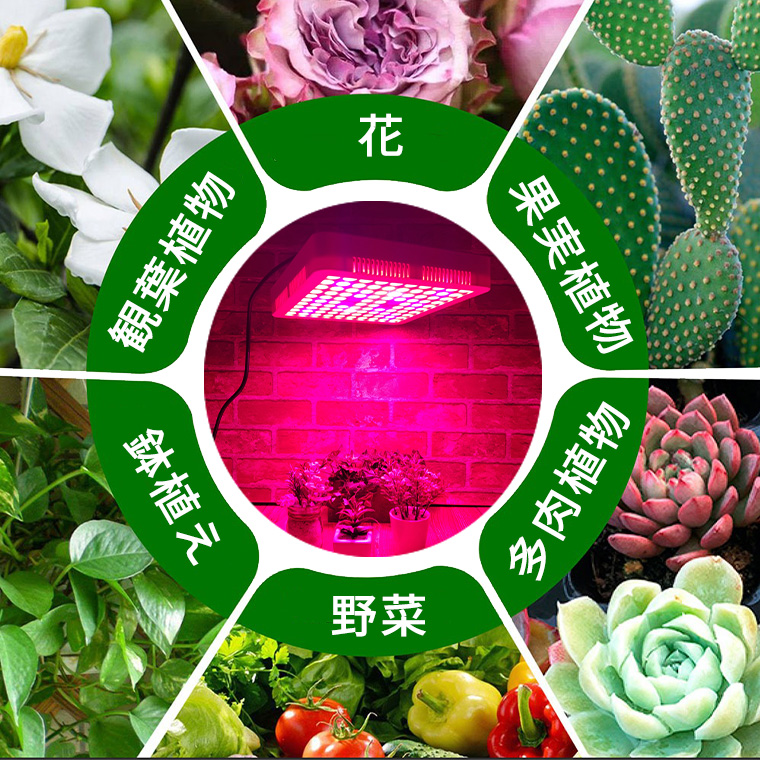 大型 植物育成ライト LED 育成ライト 観葉植物 多肉植物 ライト フック