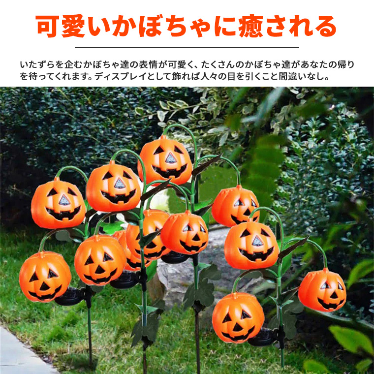 かぼちゃ ⑦栃木県産ミニかぼちゃ 坊ちゃん約5kg 栽培期間中農薬不使用