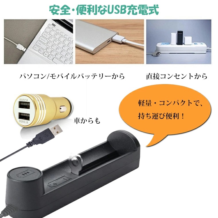 マルチ USB充電器 18650 用 充電に最適 バッテリー充電器 20700 21700