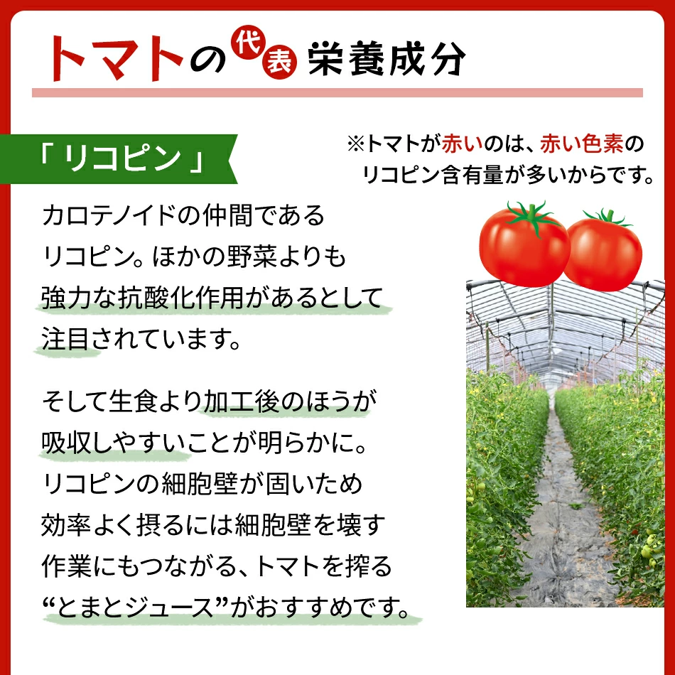 直也無添加とまとジュースふるさとの元気500ml30本価格破壊！ 楽天市場】【北海道 ふるさとの元気】 食塩無添加 超濃厚トマト