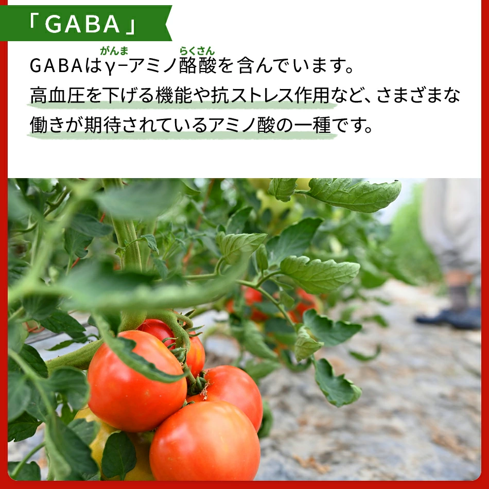 糖度5度以上、桃太郎