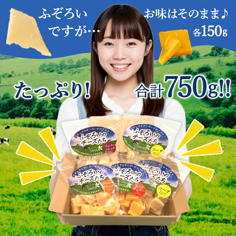 長野 高見澤 LactyLife 冷蔵 ふぞろいのチーズたち 4種5袋 ゴーダ