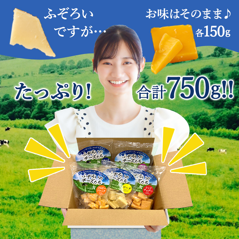 チーズ お徳用 ふぞろいのチーズたち 5種 各150g 高見澤 ナチュラル