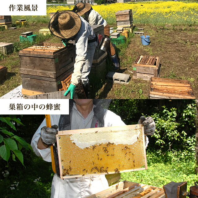 みつばちファーム 健康自然工房 多摩のはちみつ3種セット 国産