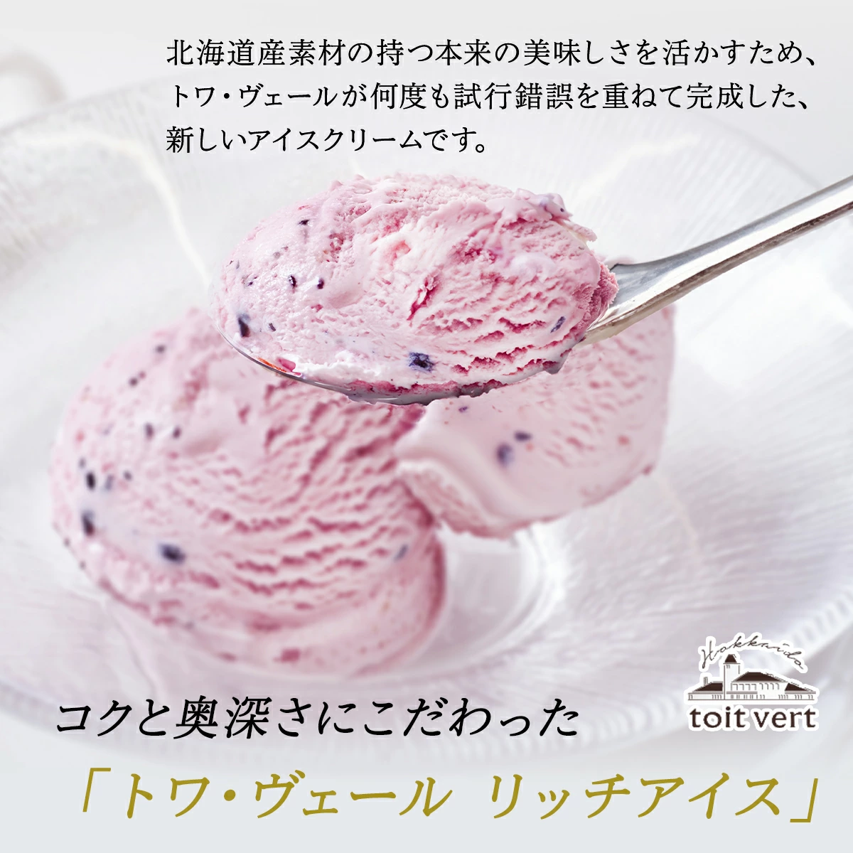 トワ・ヴェール リッチアイス 4種 12個入り アイスクリーム アイス