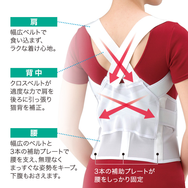 NEW 背筋補正ベルト LL・3L 1枚 - 背筋ベルト 猫背 背筋 背中 腰