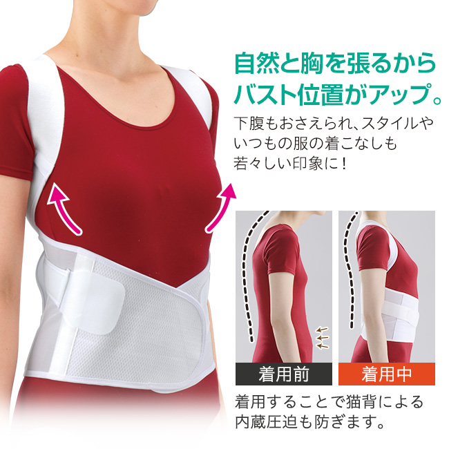 NEW 背筋補正ベルト LL・3L 1枚 - 背筋ベルト 猫背 背筋 背中 腰