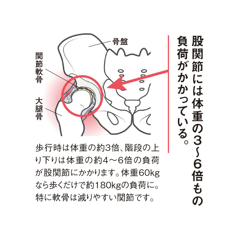 理学療法士が考えた 股関節スパッツ 3枚組 - 股関節 サポート はくだけ