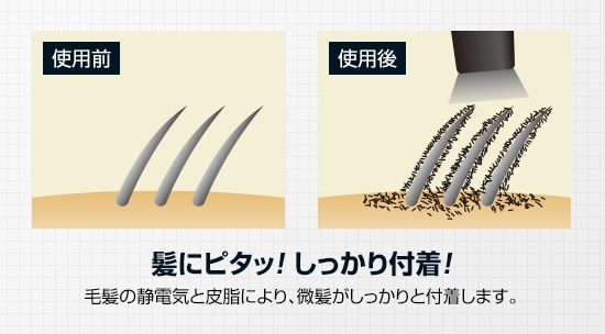 フォレスト2本 ふりかけるだけ ボリュームアップ ヘアスプレー 薄毛 隠し フォレスト 3本組 - ふりかけるだけ ボリュームアップ ヘアスプレー