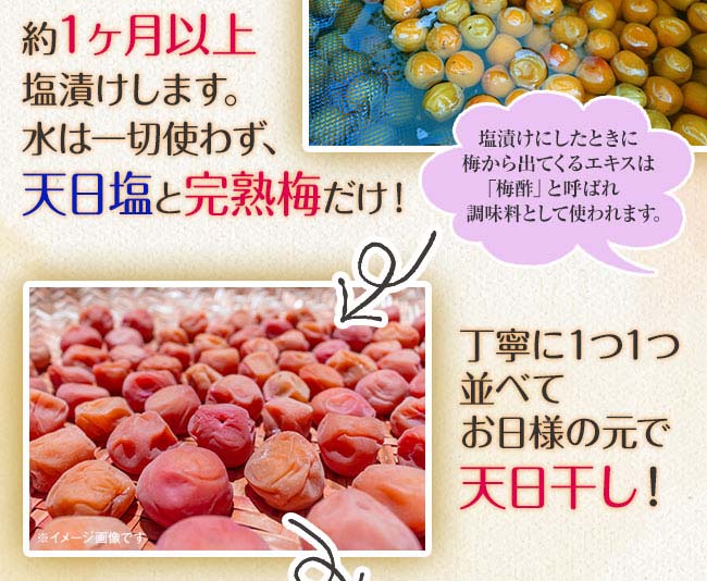 紀州南高梅 完熟つぶれ梅 2kgセット - 1パック500g 4パック ワケ