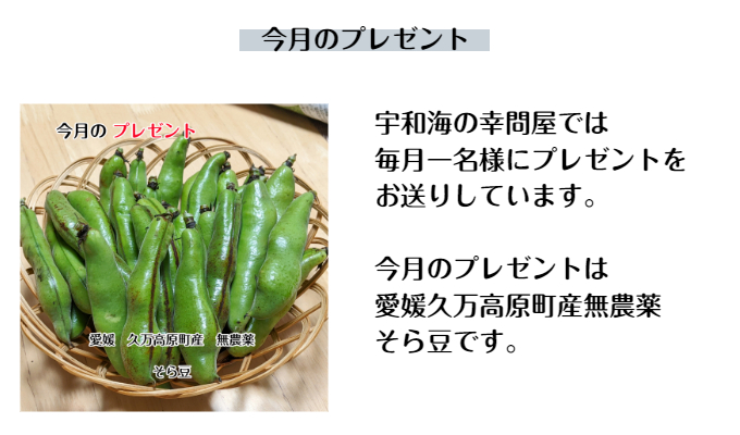 愛媛 宇和島 吉田産 甘夏 10kg 送料無料 沖縄 サイズフリー 訳あり 東北は別途送料 農地から直送 北海道 宇和海の幸問屋