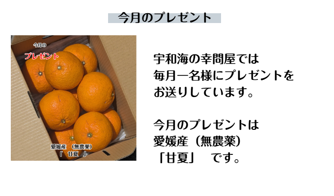 ³ι䲰դε᤿ղץ쥼