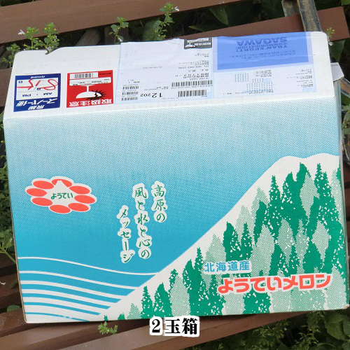 ようていメロン