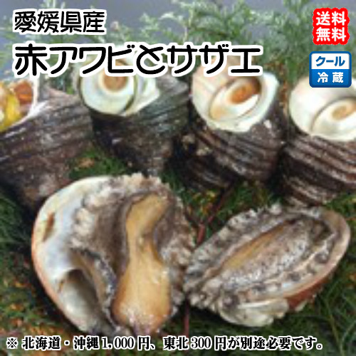 アワビサザエ盛り