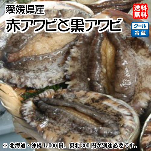 黒アワビとサザエ盛り
