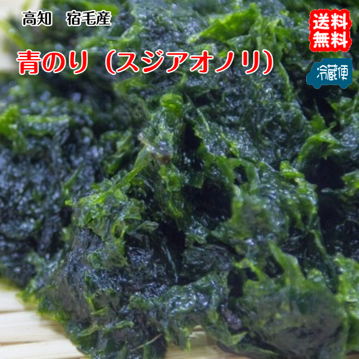 青のり（スジアオノリ）生 冷蔵 高知 宿毛産 送料無料 宇和海の幸問屋