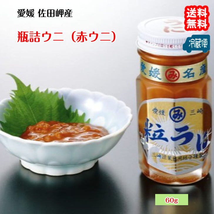 瓶詰ウニ（赤ウニ）】（60g×1個） 愛媛 天然 素潜り海士 送料無料 浜