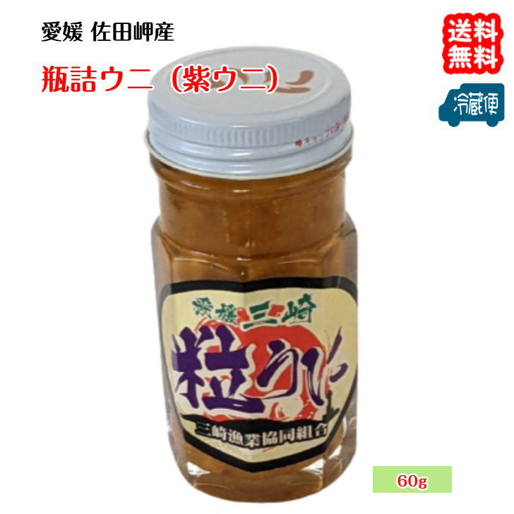 愛媛産天然完熟ウニ【送料無料】