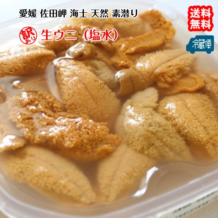 愛媛産天然完熟ウニ【送料無料】