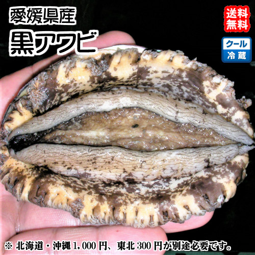 黒アワビとサザエ盛り