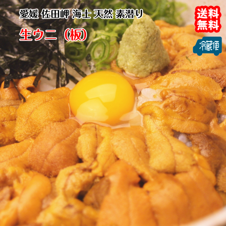 愛媛産天然完熟ウニ【送料無料】