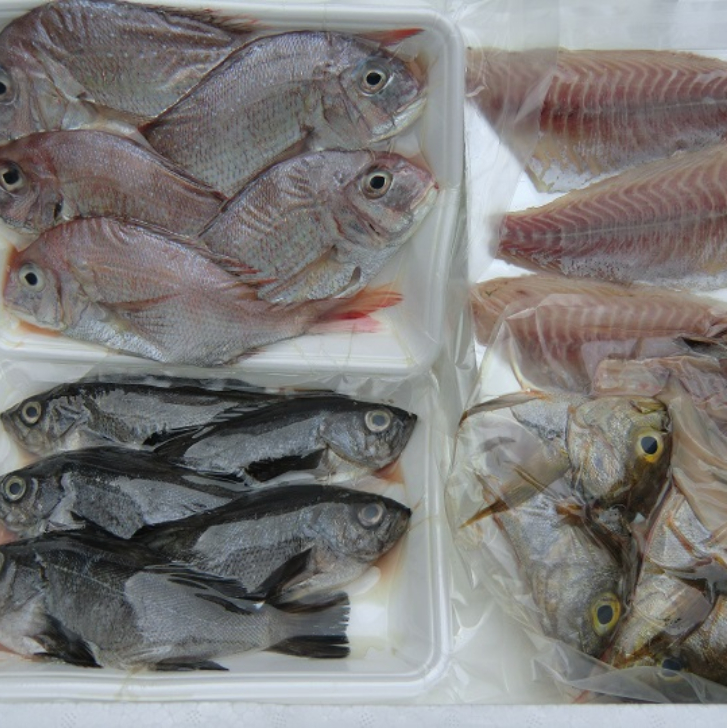  Ehime production [... incidental ! easy fresh fish set ][ free shipping ]