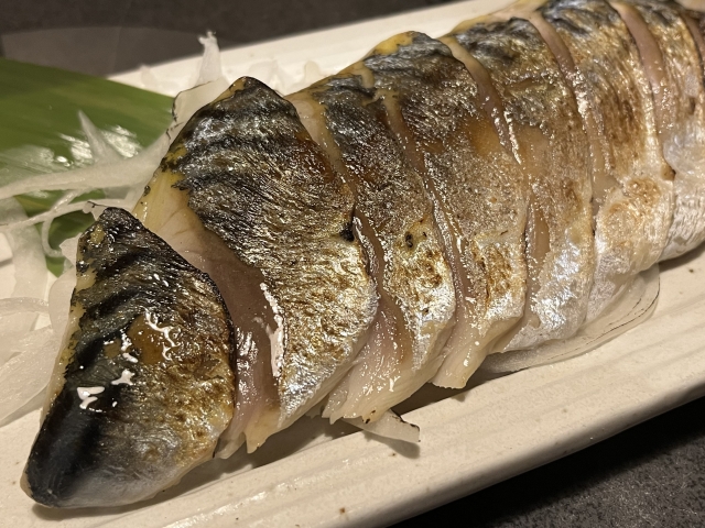 送料無料天然一本釣りブランドサバ