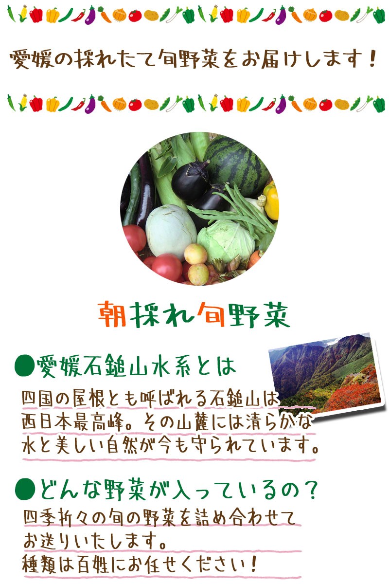  Ehime stone . landscape series 100 .. leaving a decision to someone else ! [ morning ... vegetable ] [ free shipping ]
