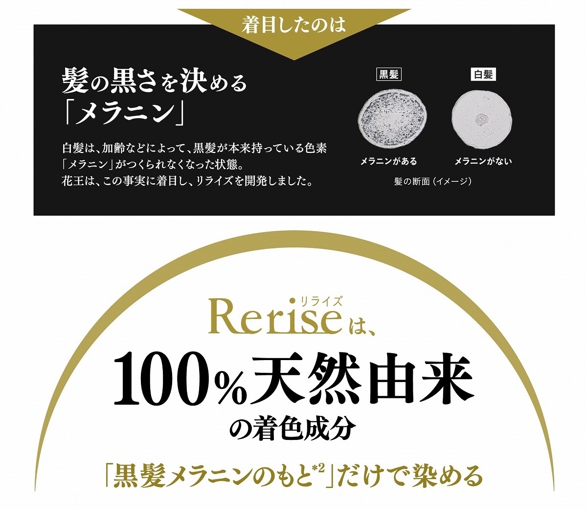 花王 リライズ 白髪用髪色サーバー リ・ブラック ふんわり仕上げ 本体