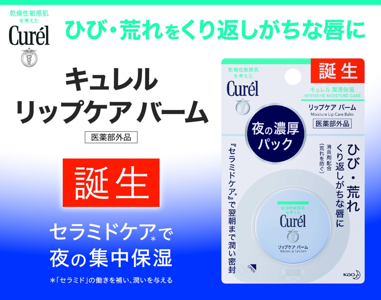 花王 キュレル リップケア バーム ４．２ｇ /キュレル リップクリーム :0270030-4901301364869-1:Vドラッグ2号店 - 通販  - Yahoo!ショッピング