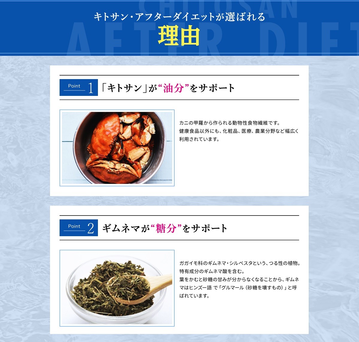 メタボリックキトサンアフターダイエット500粒/ キトサン ダイエット