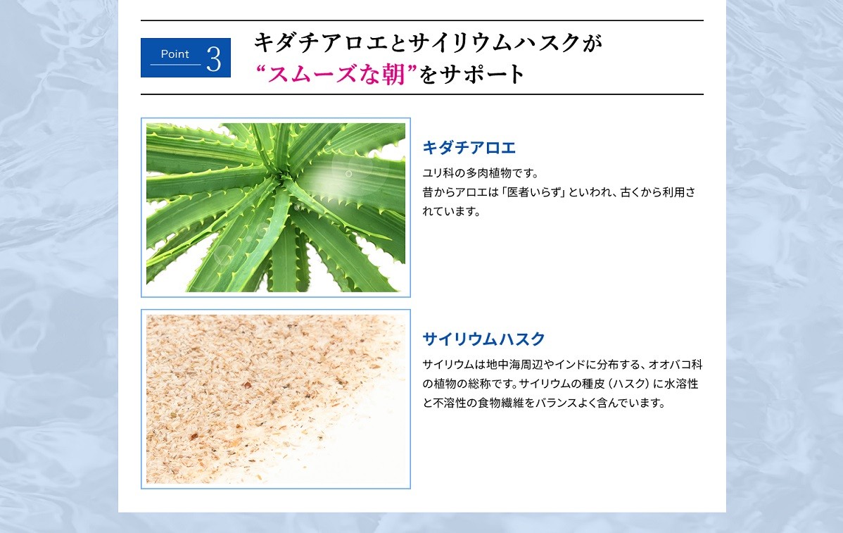 メタボリックキトサンアフターダイエット500粒/ キトサン ダイエット