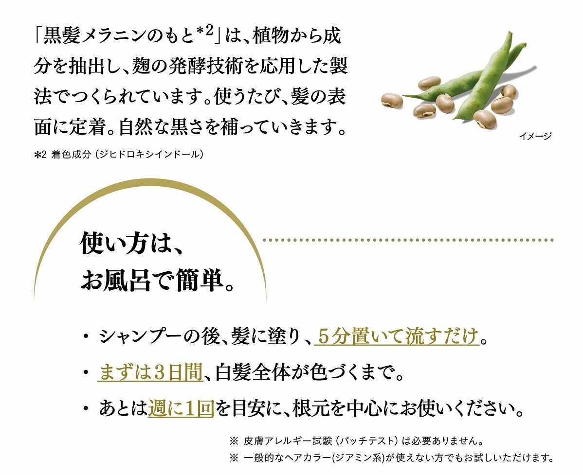 Kao 花王 リライズ 白髪用髪色サーバー リ・ブラック ふんわり